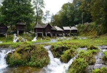 The Great Football Conspiracy