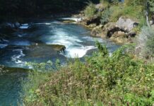 The Harbour of Sophia History and Significance